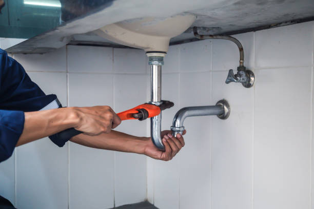 Best Local Plumber Services  in La Vale, MD